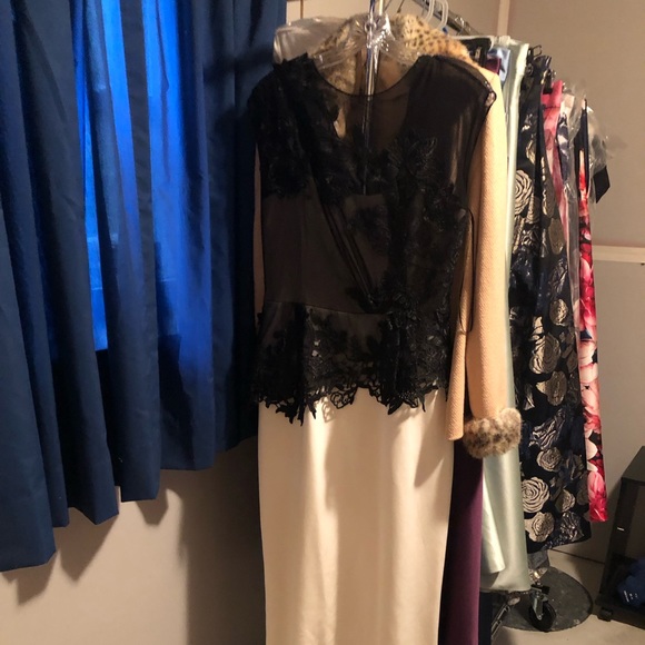 Teri Jon evening/MOB gown - Picture 7 of 7